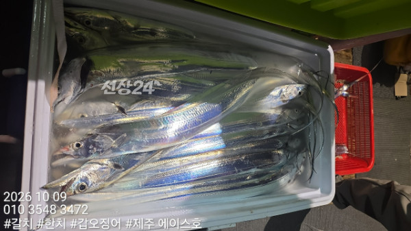 KakaoTalk_20261009_121551345_15.jpg
