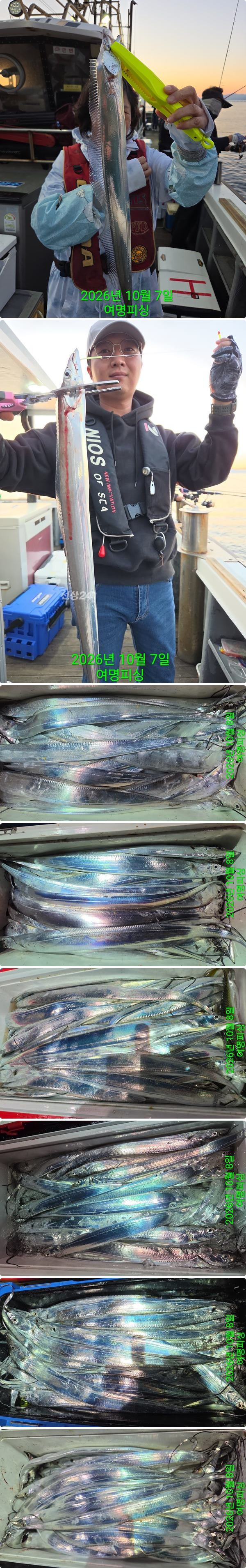 8일갈치중.jpg