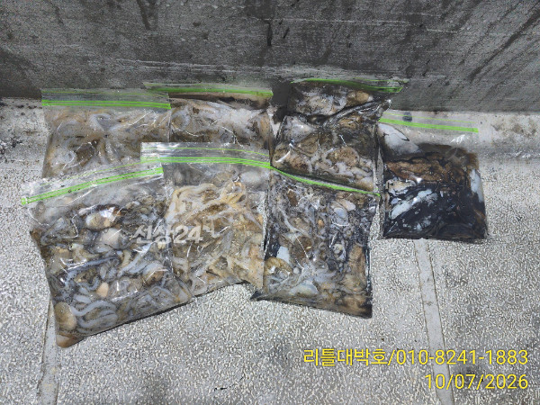 1000027070.jpg