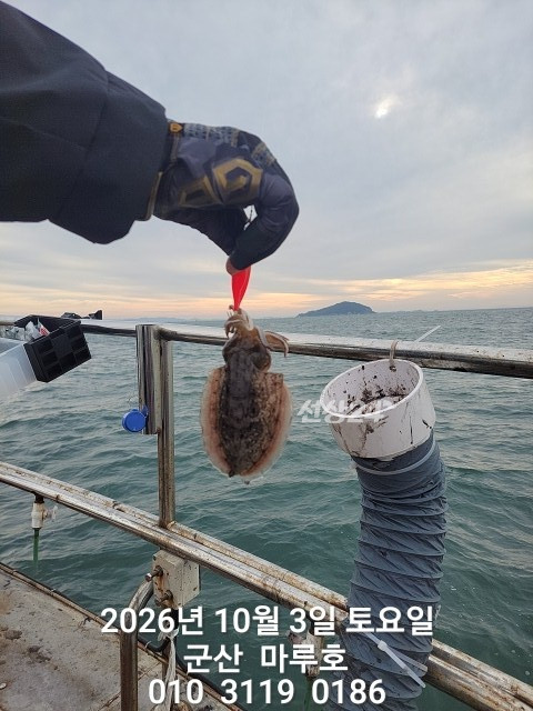 KakaoTalk_20261003_092233544.jpg