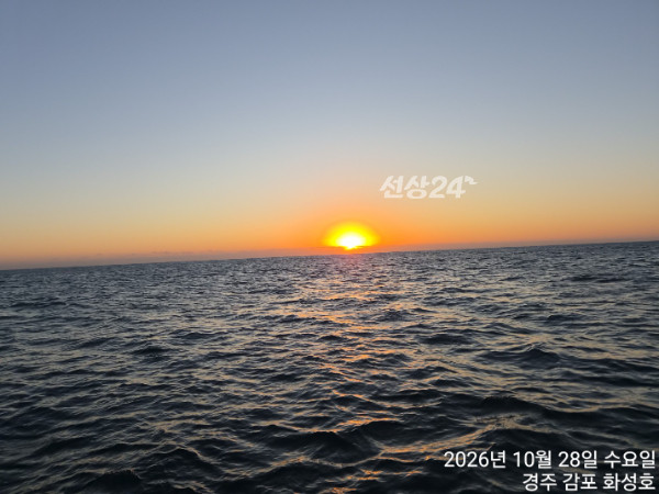 1000019827.jpg