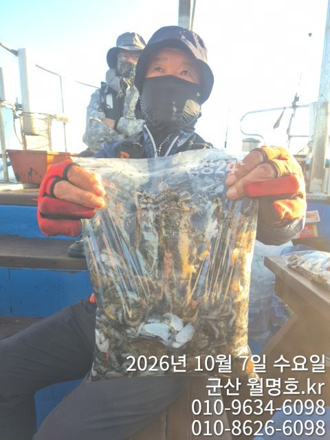 18313.jpg