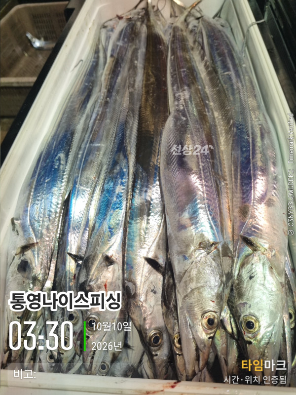 20261010_033030_글꼴-통영나이스피싱.jpg