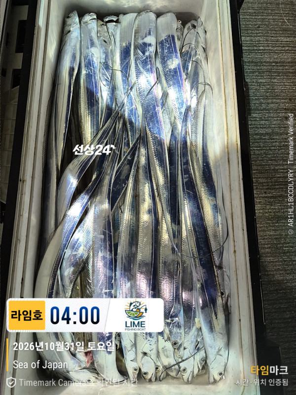 KakaoTalk_20261031_043559265_11.jpg