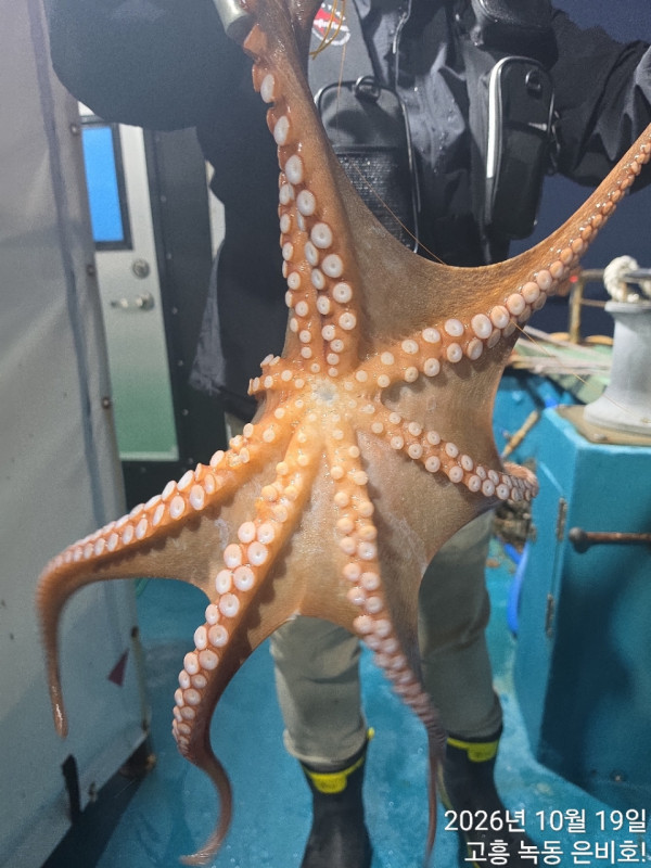 고흥 녹동 은비호!(두족류,돌돔,외수질)_사진_20261020_4.jpg