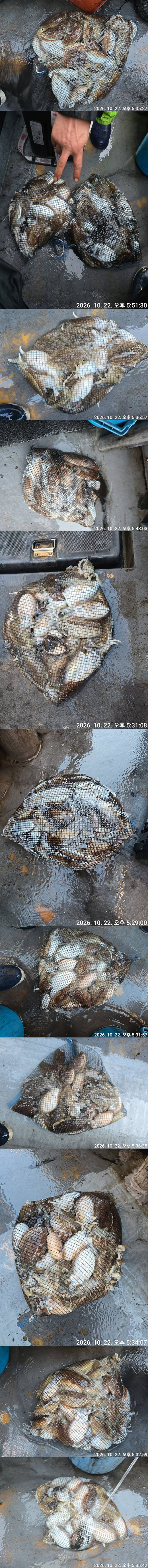 [크기변환]KakaoTalk_20261022_201913727-vert.jpg