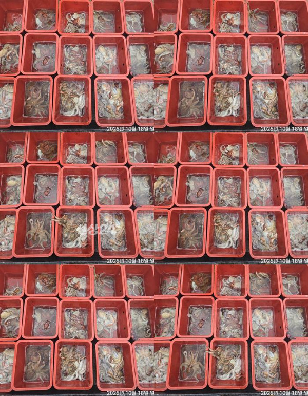 1792311235147-tile.jpg