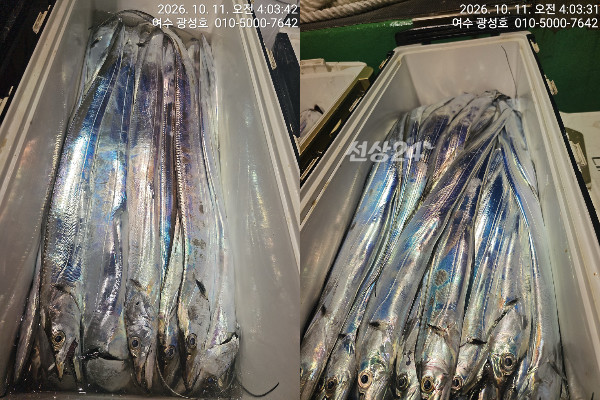 이미지.jpeg