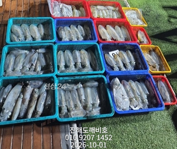8773.jpg