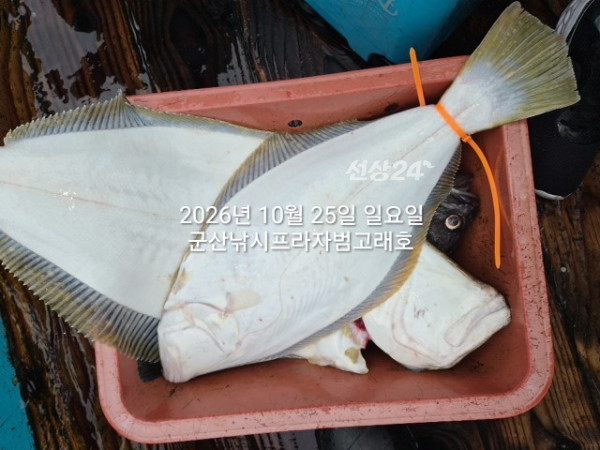 KakaoTalk_20261025_175508608_16.jpg