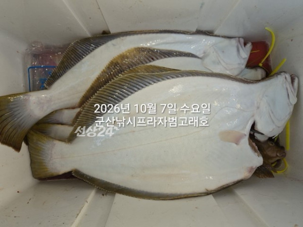 KakaoTalk_20261007_165339584_06.jpg