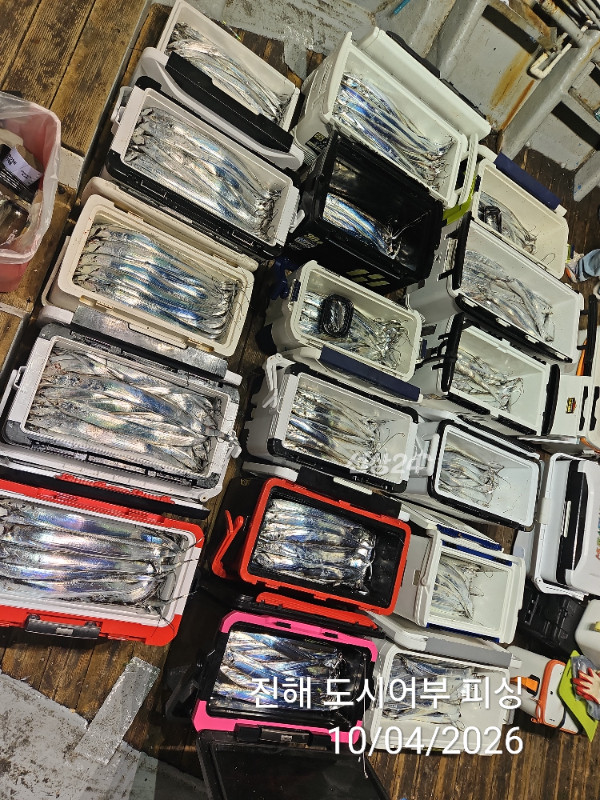 KakaoTalk_20261004_050453266_14.jpg