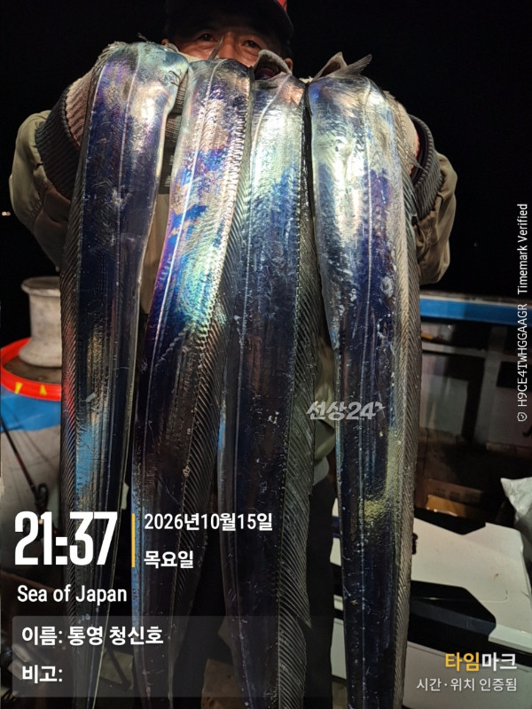 통영청신호입니다_사진_20261016_10.jpg