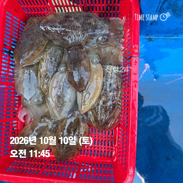 KakaoTalk_20261010_132841901_01.jpg
