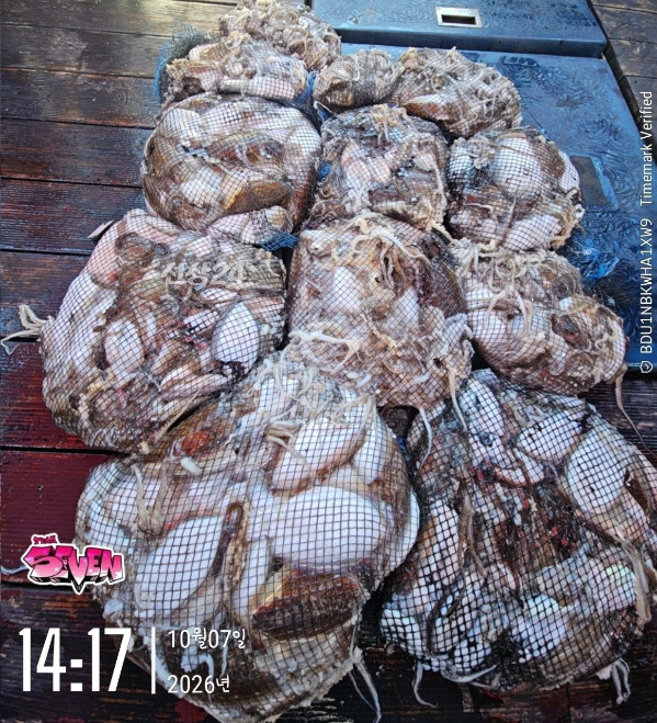 c_80bUd018svccz6m2h4ra3f8_82sd02.jpg