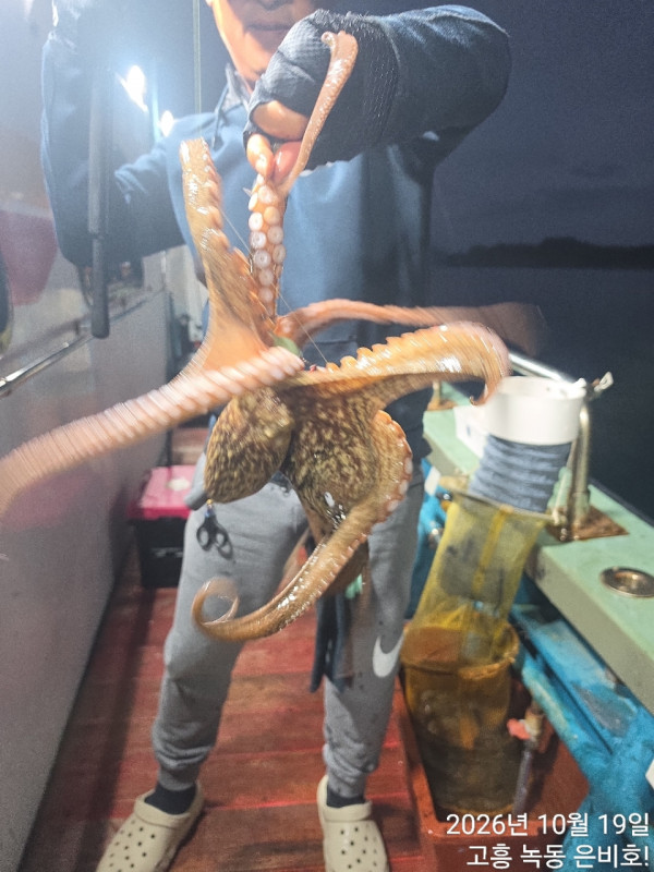 고흥 녹동 은비호!(두족류,돌돔,외수질)_사진_20261020_3.jpg