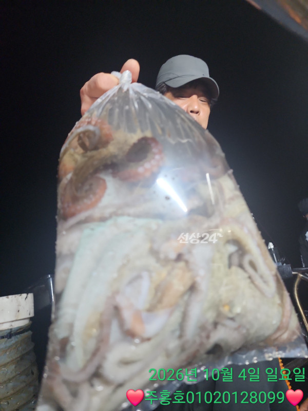 TimePhoto_20261004_233335.jpg
