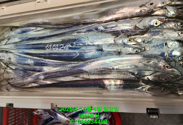 KakaoTalk_20261004_101816492_06.jpg