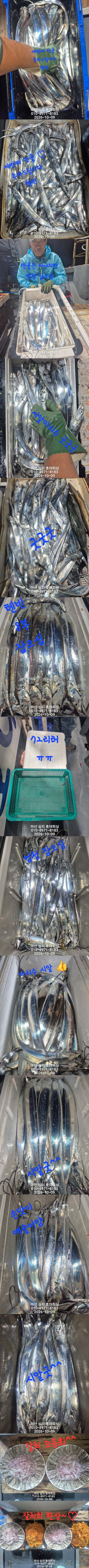 10월08일2호.jpg