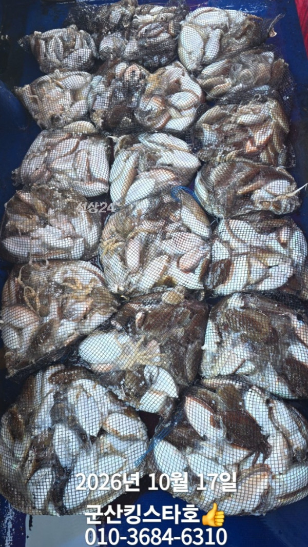 BandPhoto_2026_10_17_18_40_42_10.jpg