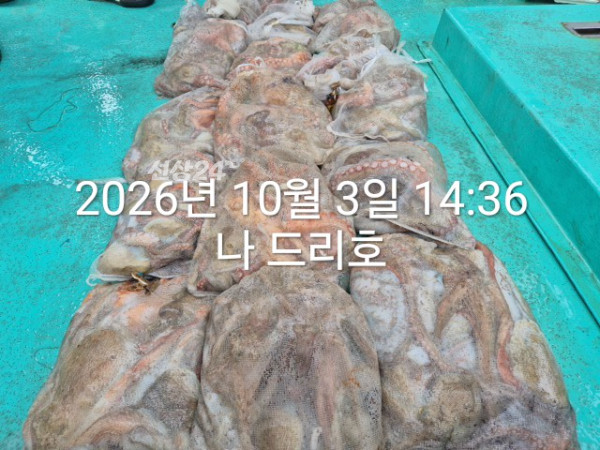 KakaoTalk_20261003_151547799_01.jpg