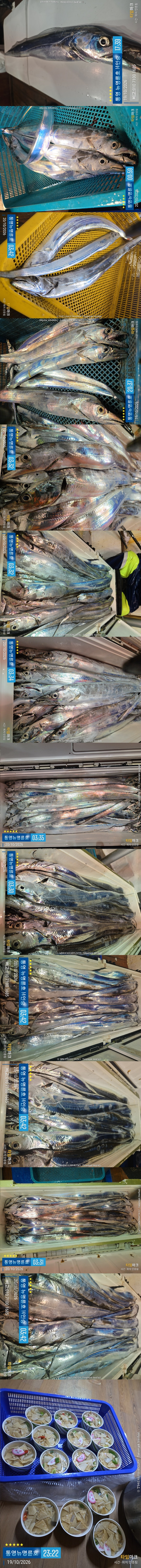 10-20갈치2.jpg
