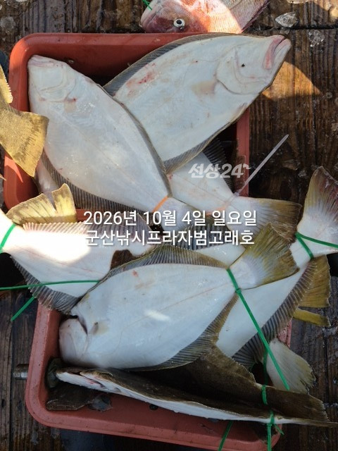 KakaoTalk_20261004_155855857_05.jpg