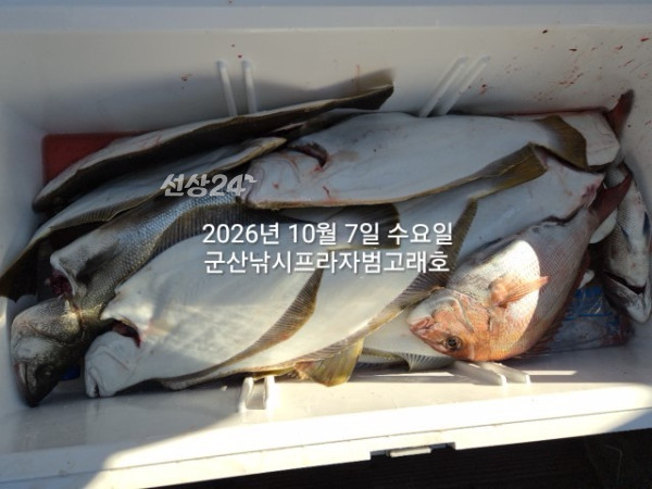 KakaoTalk_20261007_165339584_07.jpg