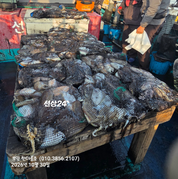 69029.jpg