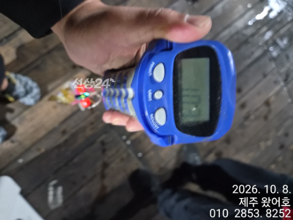 제주왔어호_사진_20261009_7.jpg