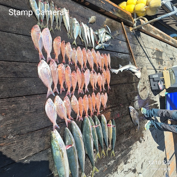 StampCamera20261003121015.jpg