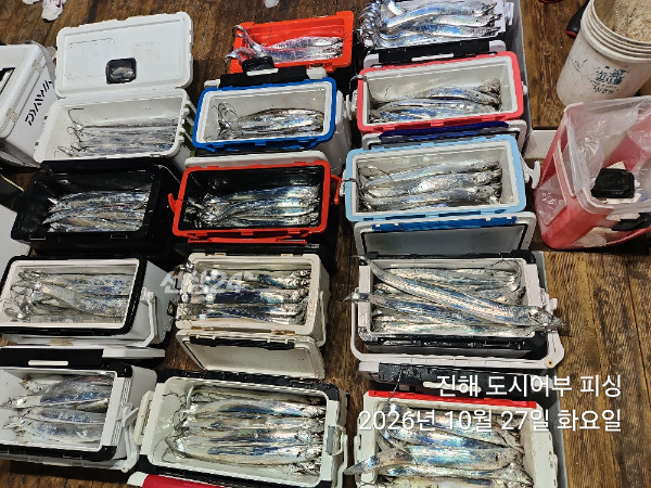 KakaoTalk_20261027_050149198_16.jpg