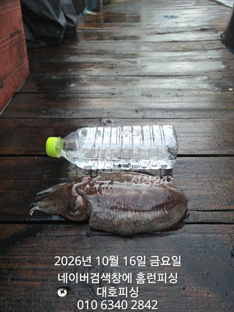 1000020051.jpg