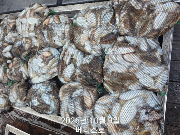 KakaoTalk_20261009_161422062.jpg