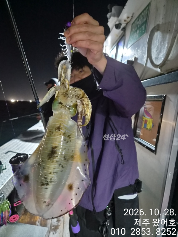 제주왔어호_사진_20261029_19.jpg