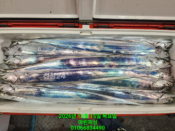 KakaoTalk_20261015_083100083_01.jpg
