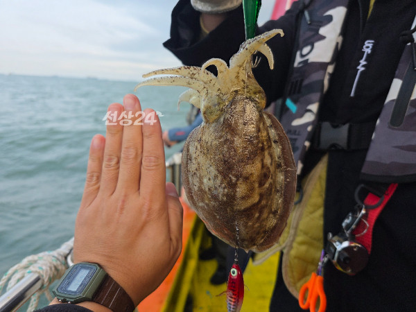 1000025154.jpg