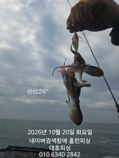 1000020287.jpg