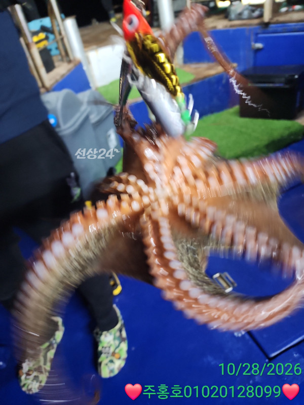 1000067138.jpg