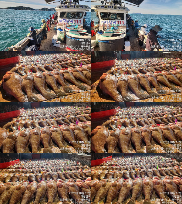 01TimePhoto_20261015_085144-tile.jpg