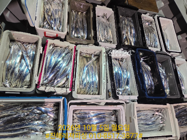 1000106684.jpg
