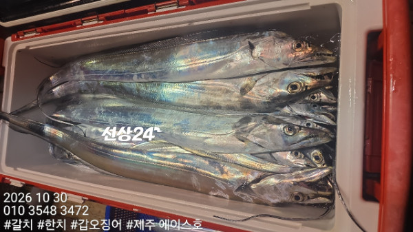 KakaoTalk_20261030_104958423_07.jpg
