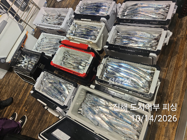KakaoTalk_20261014_043827989_13.jpg