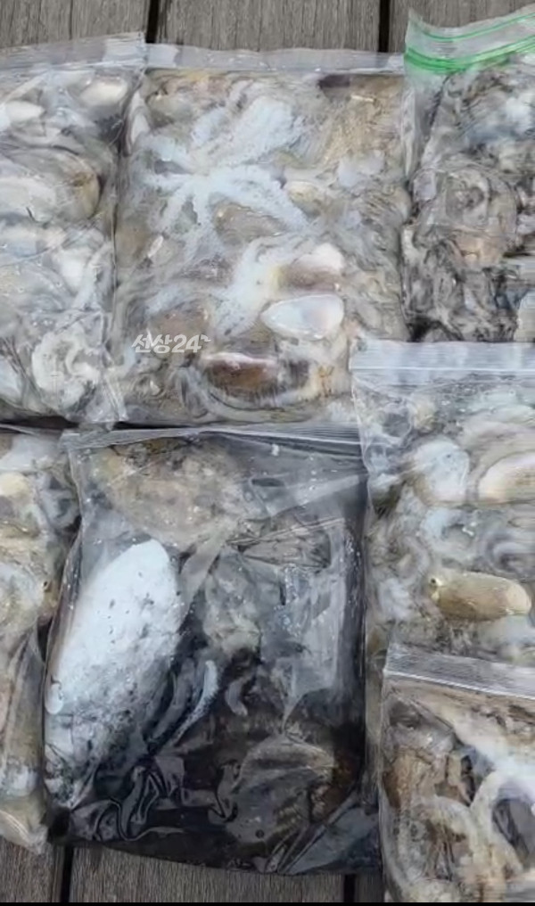 KakaoTalk_20261002_153957950_11.jpg