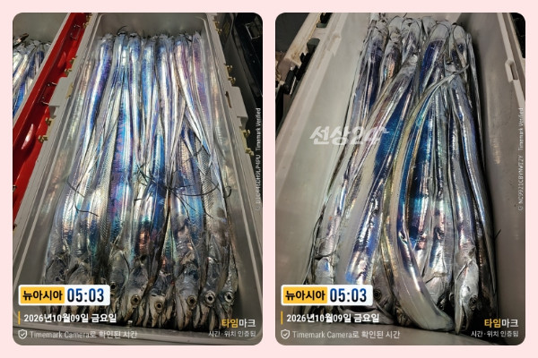 KakaoTalk_20261009_062716023_01-side.jpg