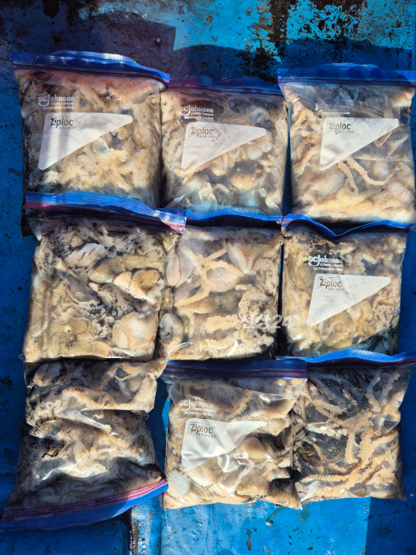 1000031042.jpg
