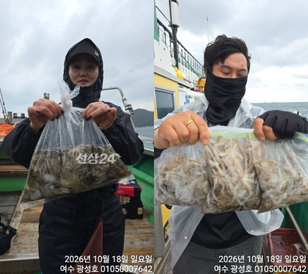 이미지.jpeg