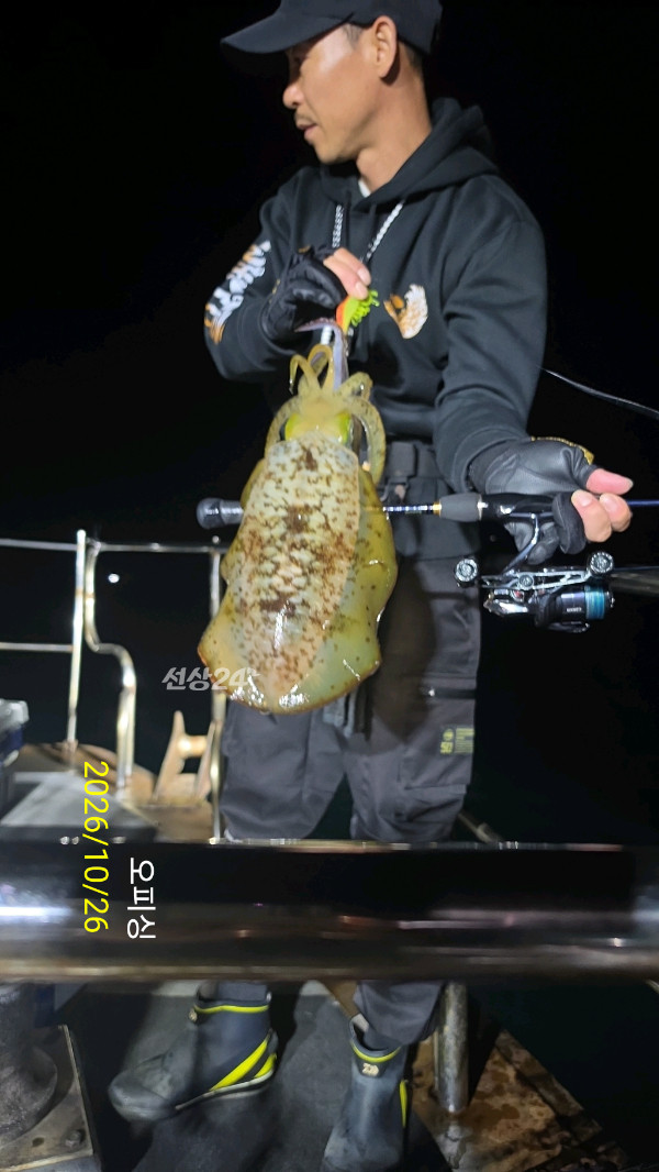 43299.jpg