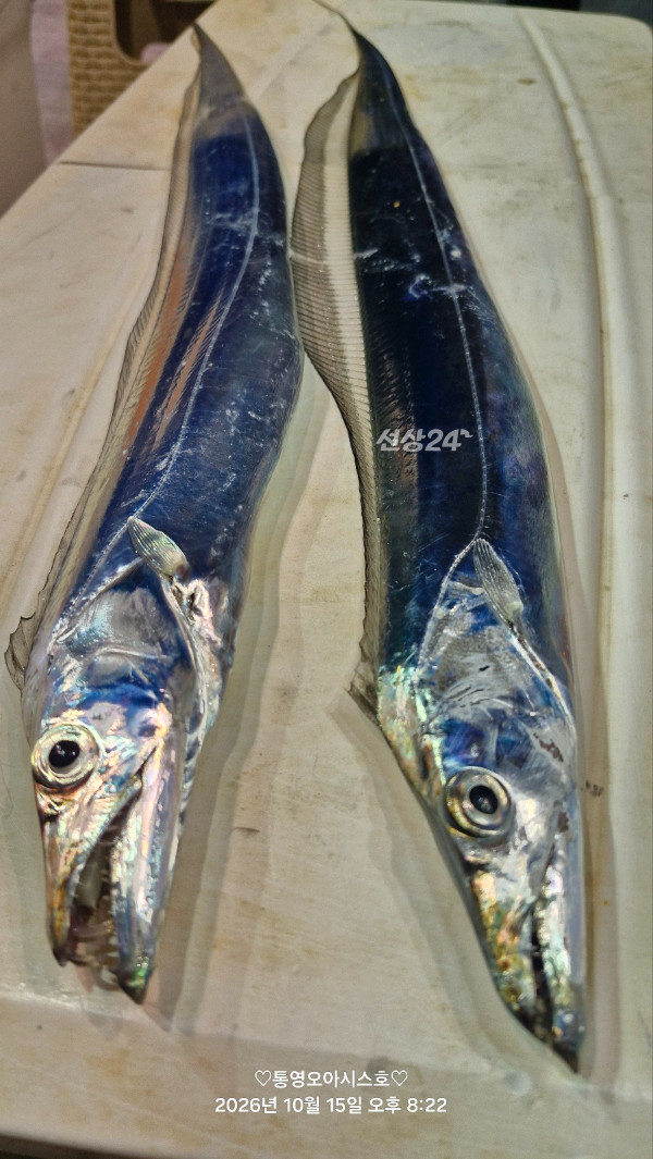 84443.jpg