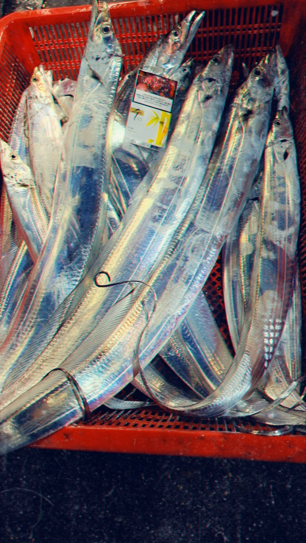 KakaoTalk_20261010_032645235_17.jpg